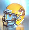 Western Brown Broncos Youth Football 2012-2013 (OH)